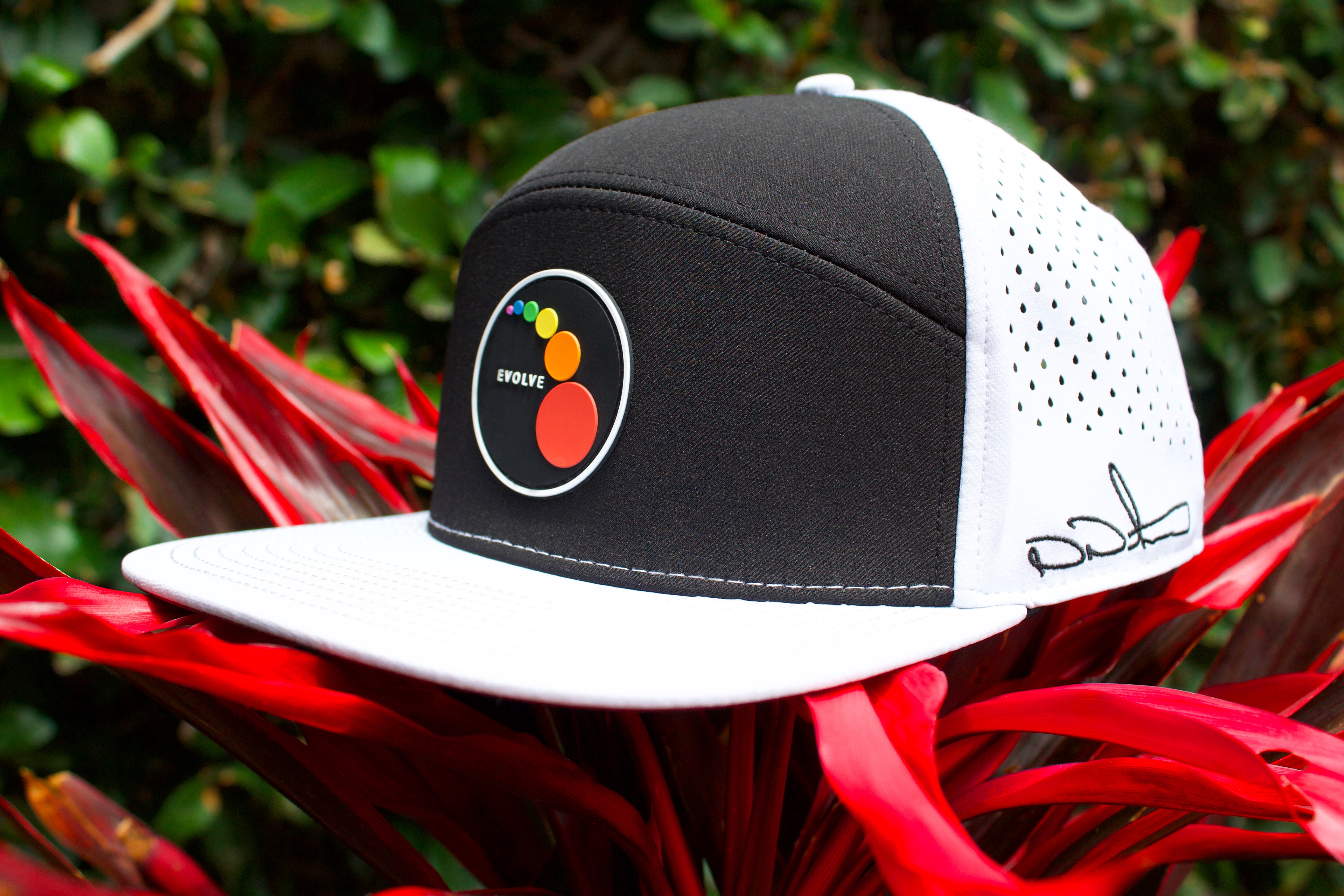 EVCLA - Dew Drop 6 Panel Hat - Ash/Black